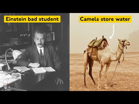 False Common "Facts" that Everyone Still Believes!