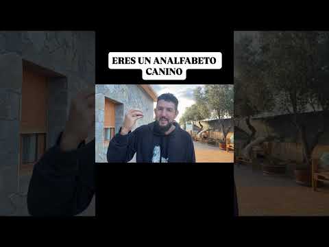Eres un analfabeto #perros #canecorso