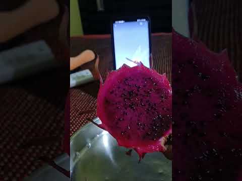 pure organic  DRAGAN # shorts @nirmal videos