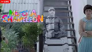 【🔴Meccha Chameleon】เส้นผมบังภูเขา