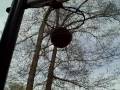 Sharpshooterbball