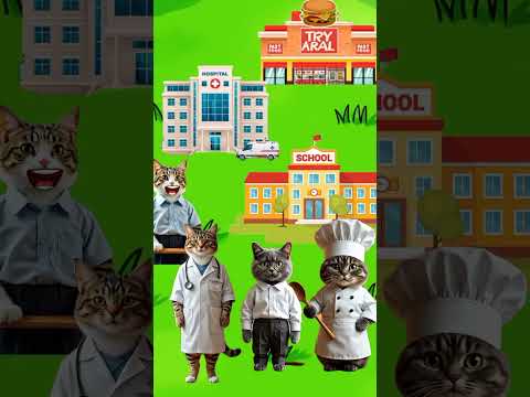 eh salah masuk gedung #kucing#funny #kartuntempel #kartunanak