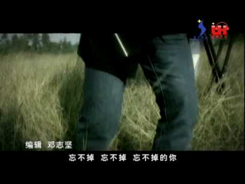 忘不掉的伤-姜玉阳-圣元文化