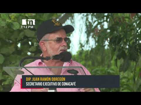 Ejército de Nicaragua apertura plan de cosecha cafetalera 2021-2022