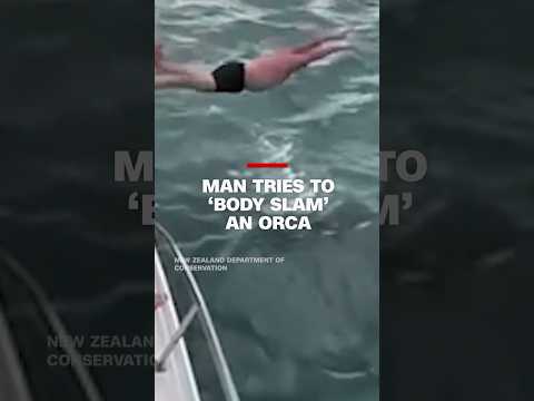 ‘I touched it!’: New Zealand man fined after trying to ‘body slam’ an orca