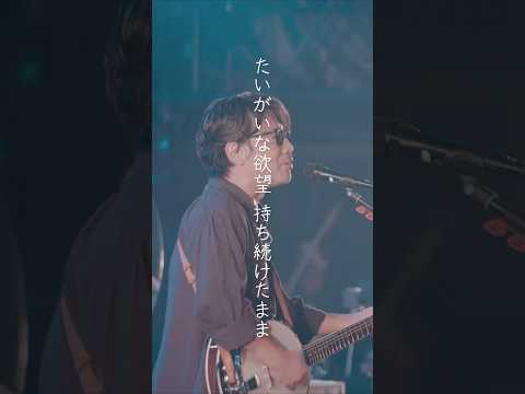 #京都音楽博覧会2023 より くるり「リバー」。今年の開催まであと❸日!!梅小路公園でお待ちしています☺︎\ ♩ /#くるり #京都音楽博覧会2024 #音博