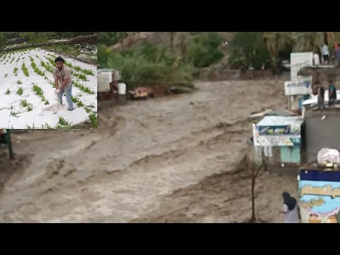 امطار وسيول جارفة وثلوج في اليمن اب تعز الضالع