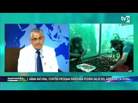 Economía Verde | Roque Rodríguez, presidente de INIEC Quina