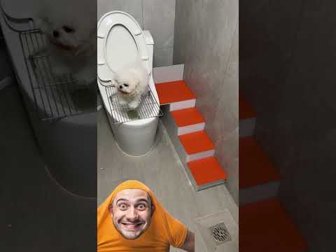 بعمل كاكا😂#اضحك #ضحك #دويتو #السعودية #العراق #ترند #شلتنا #اعتني