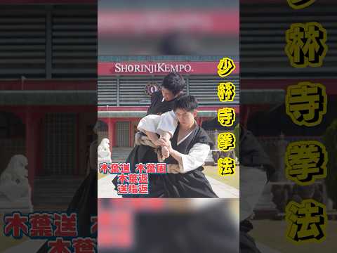 #shorinjikempo  #少林寺拳法 #martialarts #武道 #金剛禅 #木葉送 #木葉返 #送指返