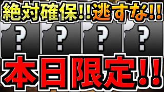 【本日(11日)限定】逃すと絶対後悔します！計13体(無課金9体+ガチャ4体)！今後のパズドラ人生に大きく関わる重要なことです！ガチで全パズ