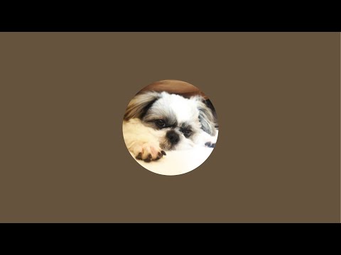 【Vol.03】ムギカフェ怒涛の8時間生配信！