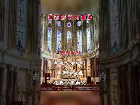 看到的……看不到了……自由规律……感谢订阅分享☕☕ #心灵感悟