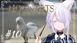 #10 【 ホグワーツ・レガシー 】ロドゴクを追いかけて鉱山入り口へ🦊🪄【 Vtuber/雨月紫乃 】