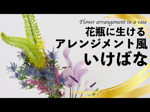 華道家が珍しいお花を
