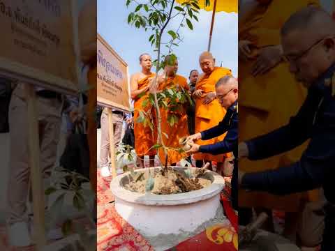 สาธุค่ะ