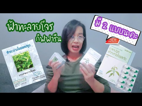 ฟ้าทะลายโจร-แคปซูล-กิฟฟารีน-วิ ฟ้าทะลายโจร-แคปซูล-กิฟฟารีน-วิ