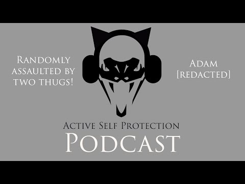 Randomly Assaulted By Two Thugs! (ASP Podcast)