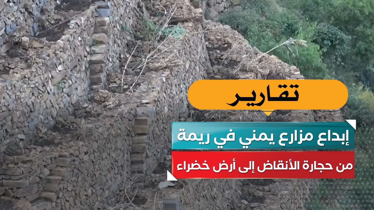 قناة السعيدة