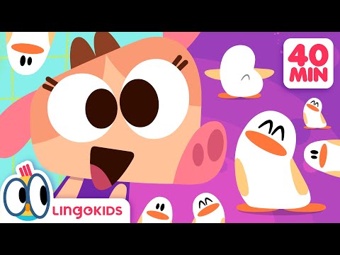 PENGUIN DANCE + More Animal Songs for Kids 🐧🎵 Lingokids
