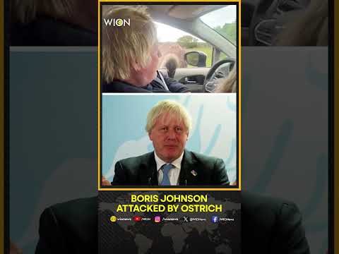 Former UK Prime Minister Boris Johnson Attacked By Ostrich At Texas Park | WION Shorts