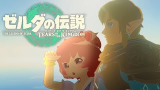 【ゼルダの伝説ティアーズオブザキングダム】立派な新聞記者を目指します！part-25