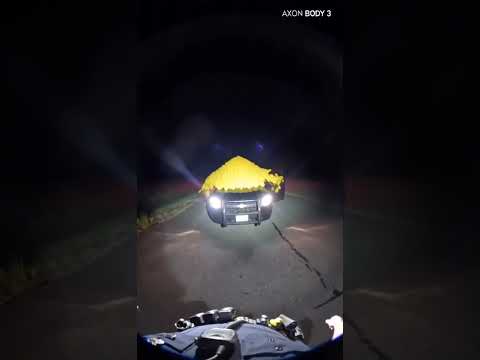 Nobody expected what poured out of this car