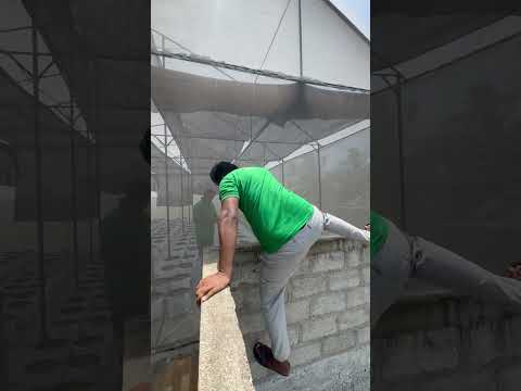 වහලක වුනත් වගා කරන්න පුලුවන්