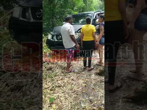 A tree reportedly fell on someone's vehicle along the North Coast Road in Maracas on Sun 20th Aug.