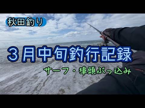 【秋田釣り】2026年3月中旬日本海サーフ、埠頭でぶっ込み釣り記録 #秋田 #釣り