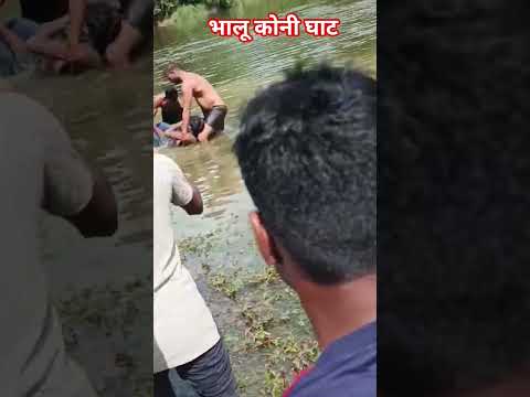 भालू कोनी घाट