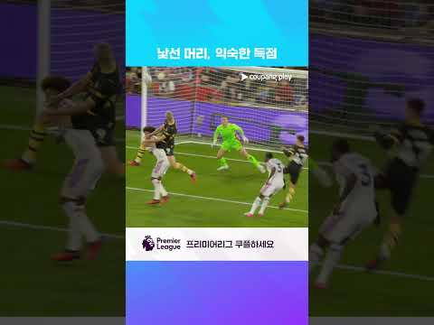 새로운 헤어스타일에 속아 익숙한 득점력을 잊지 말자 l 프리미어리그 I C.팰리스 vs 맨시티