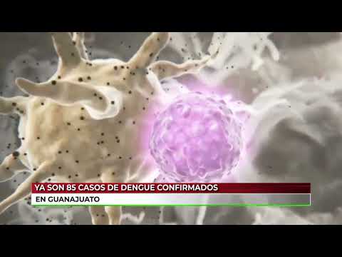 85 casos de dengue confirmados en Guanajuato