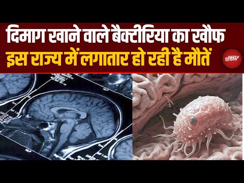 Brain Eating Amoeba की दस्तक, Kerala में इस खतरनाक बीमारी ने ले ली जांन