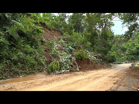Lluvias causaron afectaciones en sectores de Bocas del Toro