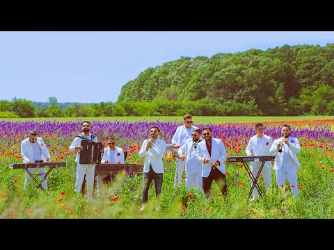 Leo de la Rosiori ❌ David Constantin ❌ Ork Luminii ❌ Florile mele, simbolul iubirii | Official Video