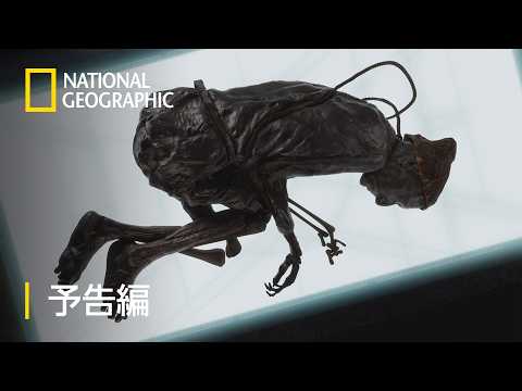 解析！世にも奇妙な遺物ミステリー – 予告編 | ナショジオ