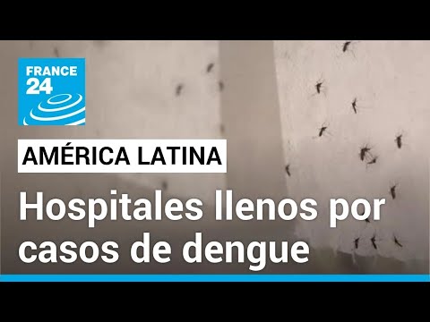 América Latina vive uno de sus peores brotes de dengue; Argentina tiene sus hospitales llenos