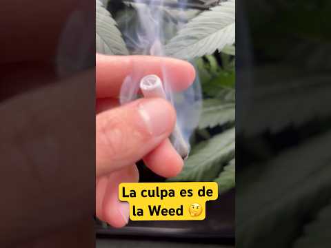 ¿El consumo es excusa para fracasar?