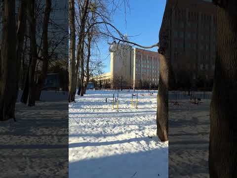 Львів.Мороз. Ветеринарний університет .