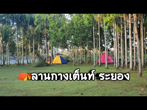 ลานกางเต็นท์-Camping-สวนพฤษศาส