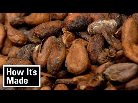 Cocoa Beans and Bulk Chocolate | How It’s Made | Science Channel