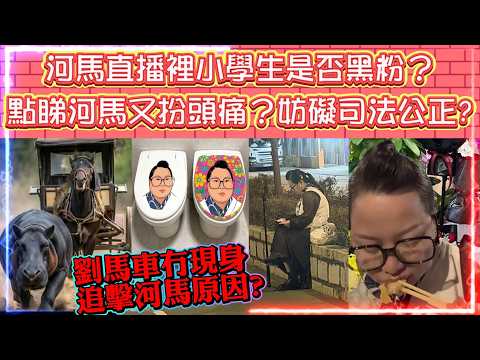 河馬直播裡小學生是否黑粉? | 點睇河馬又扮頭痛? 是否妨礙司法公正? | 劉馬車冇現身追擊河馬原因?
