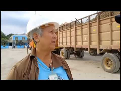 Destaca participación femenina en labores agroindustriales