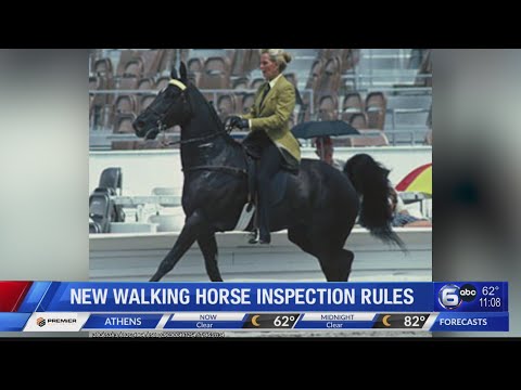 TN Congressman criticizes new federal rules against horse soring