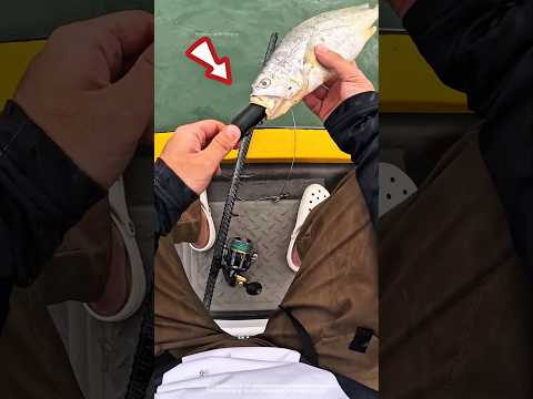 মৃত মাছ জীবিত হয়!😱woodworking art skill/ mini wood toy- hand craft ideas- #shorts #facts #viral