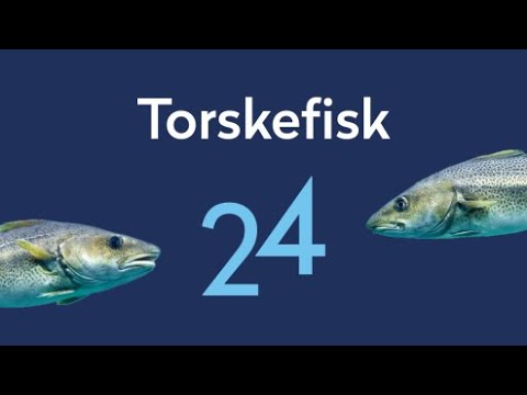 Torskefiskkonferansen 2024