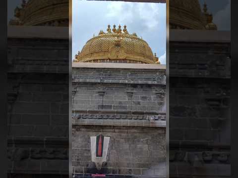 Srirangam Thanga Vimanam|The Golden Glory of Lord Ranganatha|ஸ்ரீரங்கம் தங்க விமானம்