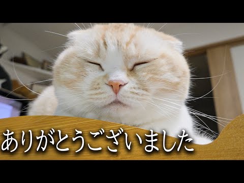 ありがとうござました...