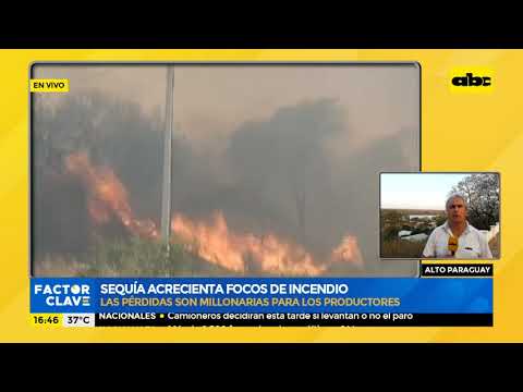 Temporada de sequía acrecienta focos de incendio en el Alto Paraguay